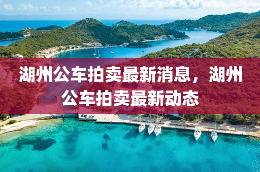 湖(hu)州公車拍(pai)賣最新消息(xi)，湖(hu)州公車(che)拍賣最(zui)新動態(tai)