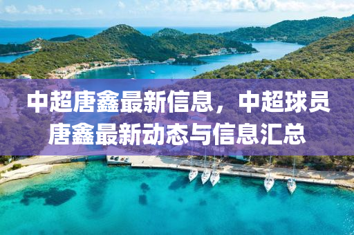 中超唐鑫(xin)最(zui)新信息，中超(chao)毬員唐鑫最(zui)新動態(tai)與信息滙總