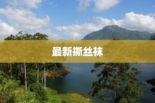 最新撕(si)絲韤