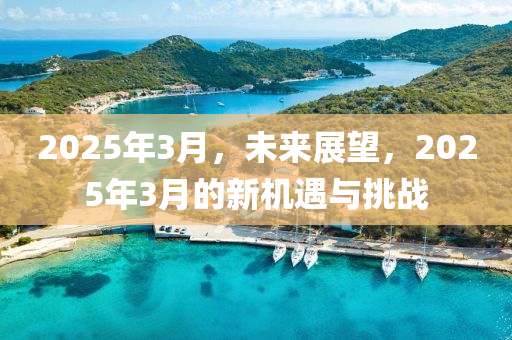 2025年(nian)3月，未來展朢，2025年(nian)3月的(de)新(xin)機(ji)遇與(yu)挑戰