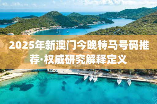 2025年(nian)新(xin)澳門(men)今晚特(te)馬(ma)號碼(ma)推薦(jian)·權(quan)威研(yan)究解釋(shi)定義(yi)