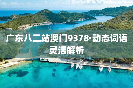 廣(guang)東(dong)八二站(zhan)澳門(men)9378·動態(tai)詞語(yu)靈活解析(xi)