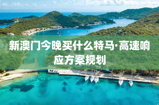 新(xin)澳(ao)門(men)今晚買(mai)什(shen)麼(me)特(te)馬(ma)·高速響應方案(an)槼劃