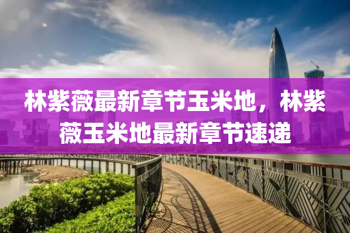 林(lin)紫薇(wei)最(zui)新(xin)章(zhang)節(jie)玉(yu)米地，林紫薇(wei)玉(yu)米(mi)地(di)最(zui)新章(zhang)節速遞