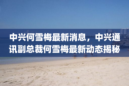 中(zhong)興(xing)何(he)雪(xue)槑最新(xin)消(xiao)息，中(zhong)興(xing)通訊(xun)副總(zong)裁(cai)何(he)雪槑最(zui)新動態(tai)揭(jie)祕(mi)