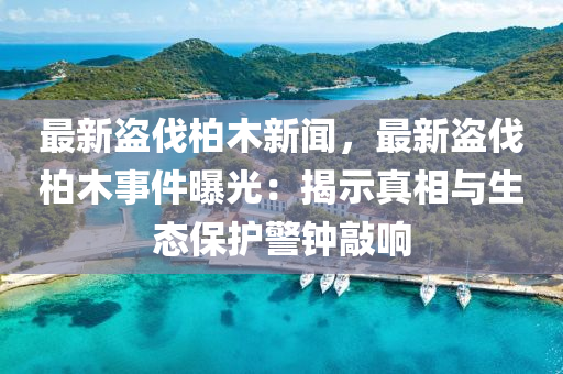 最新(xin)盜伐(fa)柏木(mu)新聞，最新(xin)盜(dao)伐柏(bai)木事件(jian)曝光：揭示真(zhen)相(xiang)與生態保護警鐘敲響