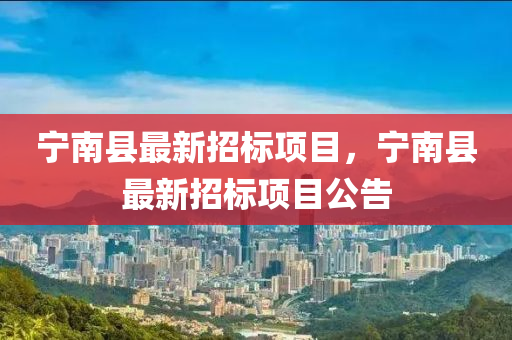 寧(ning)南縣最(zui)新招(zhao)標(biao)項目(mu)，寧南縣(xian)最新(xin)招(zhao)標項(xiang)目公告(gao)