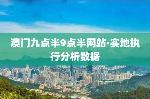 澳門(men)九點半9點半(ban)網(wang)站·實(shi)地執行分析(xi)數據