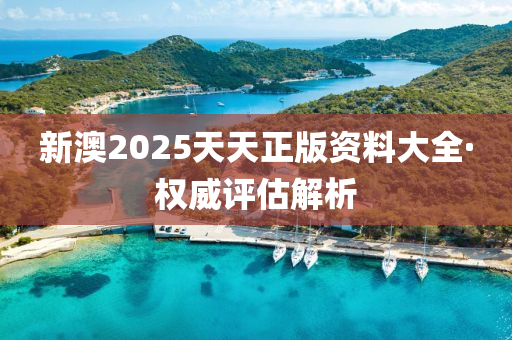 新(xin)澳2025天天(tian)正版(ban)資料大(da)全(quan)·權(quan)威(wei)評(ping)估解(jie)析