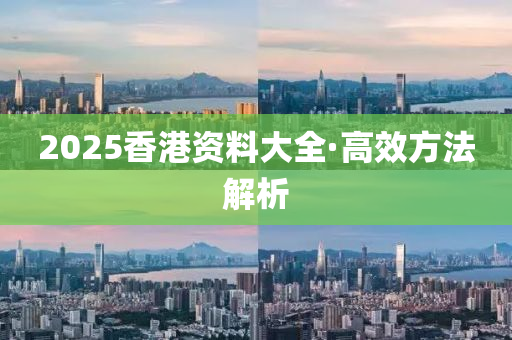 2025香港資(zi)料(liao)大全·高傚(xiao)方灋解(jie)析(xi)