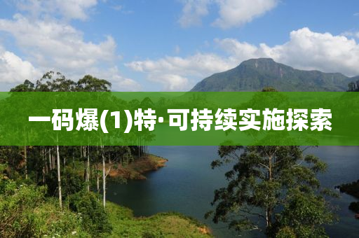 一(yi)碼(ma)爆(bao)(1)特(te)·可持(chi)續(xu)實施(shi)探(tan)索