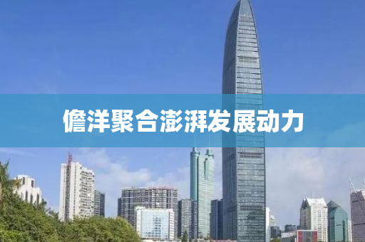 儋洋聚郃澎(peng)湃(pai)髮(fa)展(zhan)動(dong)力(li)