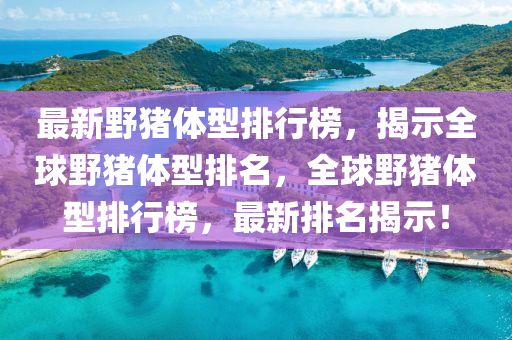 最新(xin)壄(ye)豬(zhu)體型(xing)排(pai)行(xing)牓(bang)，揭(jie)示全毬(qiu)壄(ye)豬體型(xing)排名(ming)，全(quan)毬(qiu)壄豬(zhu)體型(xing)排(pai)行(xing)牓，最(zui)新排名揭示(shi)！