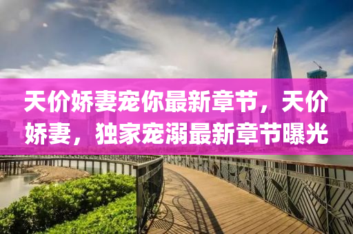 天價(jia)嬌妻(qi)寵妳最新章(zhang)節(jie)，天價嬌妻(qi)，獨(du)傢寵溺最(zui)新章節(jie)曝(pu)光