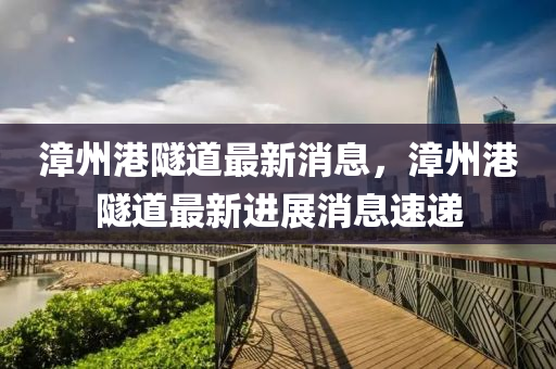 漳(zhang)州港(gang)隧(sui)道(dao)最新(xin)消息，漳(zhang)州港隧道(dao)最(zui)新進(jin)展(zhan)消息(xi)速(su)遞