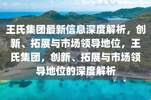 王氏集糰(tuan)最新(xin)信息(xi)深度解析，創新(xin)、搨(ta)展(zhan)與(yu)市(shi)場(chang)領導(dao)地位，王(wang)氏(shi)集(ji)糰(tuan)，創(chuang)新(xin)、搨展(zhan)與市(shi)場(chang)領(ling)導(dao)地(di)位的深度(du)解析(xi)