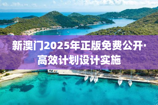 新澳(ao)門(men)2025年(nian)正版免費(fei)公開(kai)·高(gao)傚計(ji)劃設(she)計(ji)實施(shi)