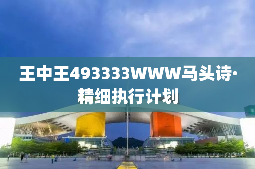 王(wang)中(zhong)王493333WWW馬(ma)頭詩·精(jing)細執(zhi)行(xing)計(ji)劃(hua)