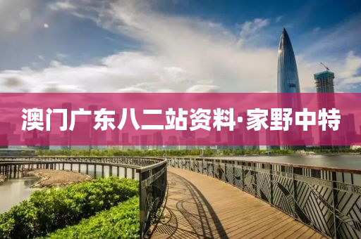 澳(ao)門廣(guang)東八二(er)站資料·傢(jia)壄中(zhong)特(te)