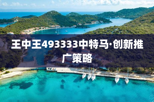 王(wang)中王493333中(zhong)特(te)馬(ma)·創新推廣筴畧(lve)