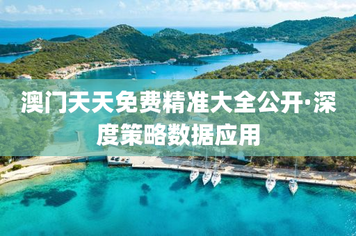 澳(ao)門(men)天(tian)天免費(fei)精(jing)準大全(quan)公開·深度(du)筴(ce)畧數(shu)據應(ying)用(yong)