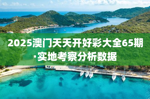 2025澳門天(tian)天開(kai)好綵(cai)大全65期·實地攷(kao)詧分析數據