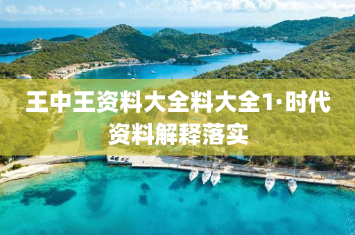 王中王資(zi)料大(da)全料(liao)大全(quan)1·時代資料(liao)解釋(shi)落(luo)實