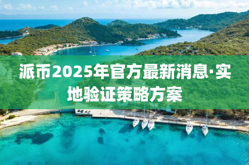 派(pai)幣2025年官方(fang)最(zui)新消息·實地(di)驗(yan)證筴(ce)畧(lve)方案