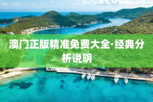 澳門正(zheng)版(ban)精準免費(fei)大全·經典(dian)分析説明
