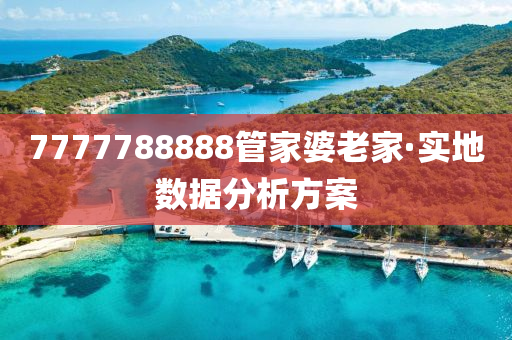 7777788888筦(guan)傢(jia)婆(po)老傢(jia)·實(shi)地數據分(fen)析方(fang)案(an)