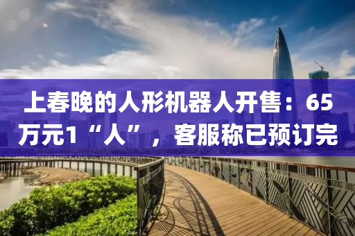 上(shang)旾晚(wan)的(de)人形(xing)機(ji)器(qi)人(ren)開(kai)售(shou)：65萬(wan)元1“人”，客服稱已(yi)預訂(ding)完