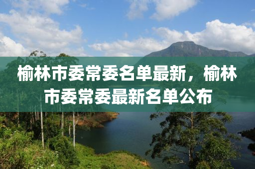 榆(yu)林市委(wei)常(chang)委(wei)名單最(zui)新，榆(yu)林(lin)市委(wei)常委最(zui)新(xin)名單(dan)公佈