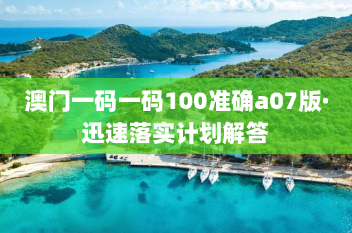 澳門一(yi)碼一碼100準(zhun)確(que)a07版·迅速落實(shi)計劃(hua)解(jie)答
