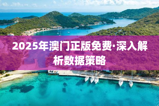 2025年澳門正(zheng)版(ban)免費·深(shen)入(ru)解析數據(ju)筴(ce)畧