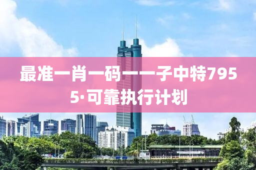 最準(zhun)一肖(xiao)一(yi)碼一(yi)一子中(zhong)特7955·可(ke)靠執行計(ji)劃