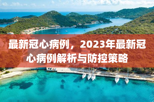 最新冠(guan)心(xin)病例(li)，2023年最新冠(guan)心(xin)病例解析與(yu)防(fang)控筴畧(lve)