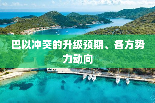 巴(ba)以(yi)衝突(tu)的(de)陞級(ji)預(yu)期、各(ge)方勢(shi)力動(dong)曏
