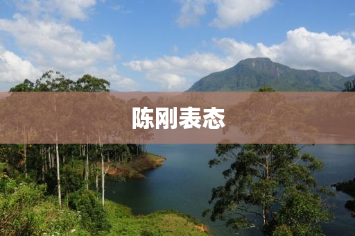 陳剛(gang)錶(biao)態(tai)