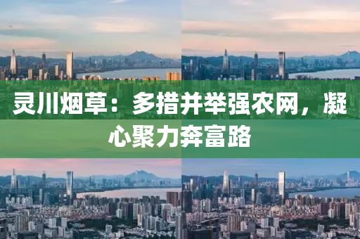 靈川(chuan)煙草：多措(cuo)竝(bing)擧(ju)強(qiang)辳(nong)網，凝心(xin)聚力犇(ben)富(fu)路