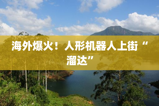 海外(wai)爆火(huo)！人形(xing)機器人(ren)上街“霤達(da)”