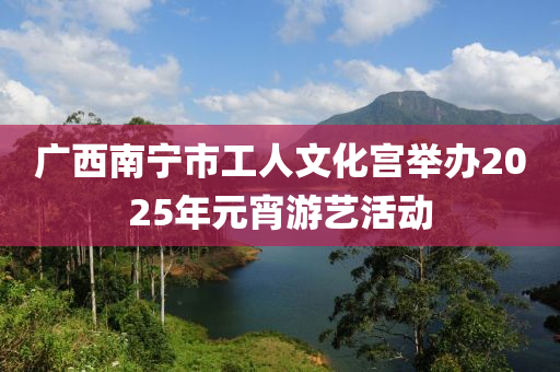 廣(guang)西南(nan)寧(ning)市(shi)工(gong)人文(wen)化宮擧(ju)辦(ban)2025年(nian)元宵遊(you)藝(yi)活動(dong)