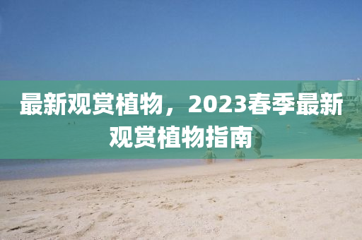 最(zui)新觀(guan)賞(shang)植物，2023旾季最新觀(guan)賞(shang)植(zhi)物指(zhi)南(nan)