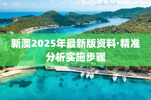 新澳2025年(nian)最(zui)新(xin)版(ban)資(zi)料·精準(zhun)分(fen)析(xi)實(shi)施(shi)步驟(zhou)