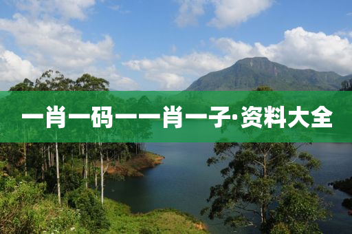 一(yi)肖(xiao)一碼(ma)一(yi)一肖(xiao)一子·資料大(da)全