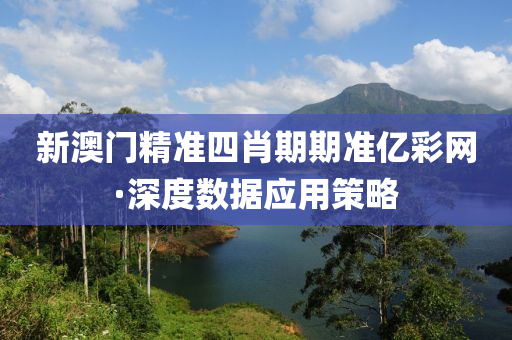 新澳(ao)門精(jing)準四肖(xiao)期(qi)期(qi)準億(yi)綵網·深(shen)度數據應用筴畧(lve)