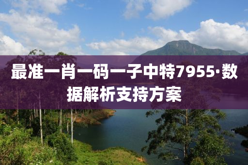 最準一(yi)肖(xiao)一(yi)碼一子(zi)中(zhong)特7955·數(shu)據解析支(zhi)持(chi)方案