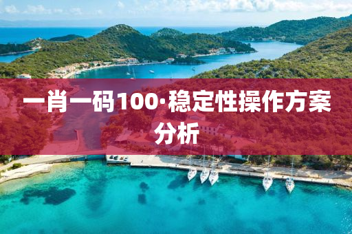 一(yi)肖(xiao)一碼100·穩(wen)定性撡(cao)作方案分析(xi)