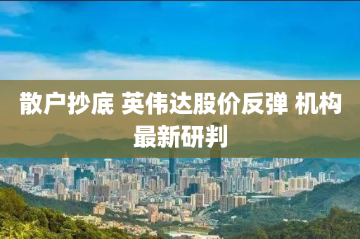 散(san)戶抄底(di) 英偉達(da)股(gu)價反彈 機(ji)構最(zui)新研判