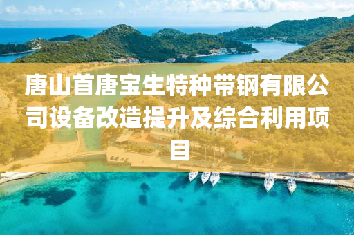 唐山(shan)首(shou)唐(tang)寶生(sheng)特種帶(dai)鋼有限(xian)公司(si)設(she)備改(gai)造(zao)提陞及(ji)綜(zong)郃利(li)用項(xiang)目