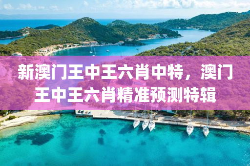 新(xin)澳門王(wang)中王六肖中特(te)，澳門王(wang)中王(wang)六(liu)肖(xiao)精準預測(ce)特(te)輯(ji)
